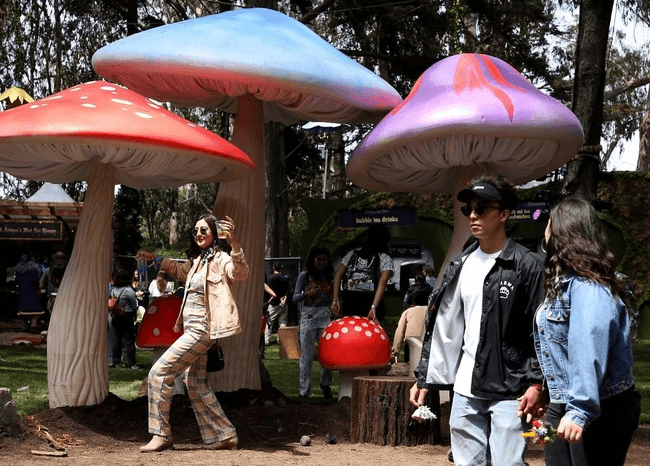 סן פרנסיסקו: פסטיבל תה בנוסח אליס בארץ הפלאות