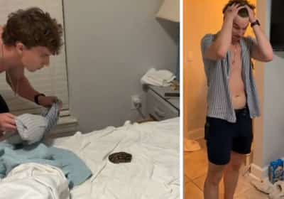 את החופשה הזו הם לא ישכחו: נחש פיתון התגלה מתחת לשמיכה בדירת נופש בפלורידה