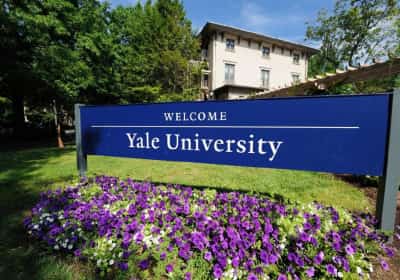 הונאה באקדמיה: סטודנטית המציאה חיים שלמים כדי להתקבל לייל - ונחשפה במקרה