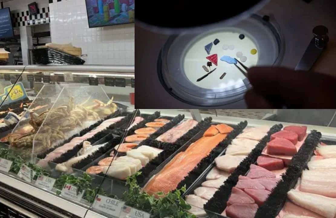זהירות: ב-88 אחוזים מדגימות הבשר, העוף והדגים בארצות הברית נמצאו מיקרו-פלסטיקים