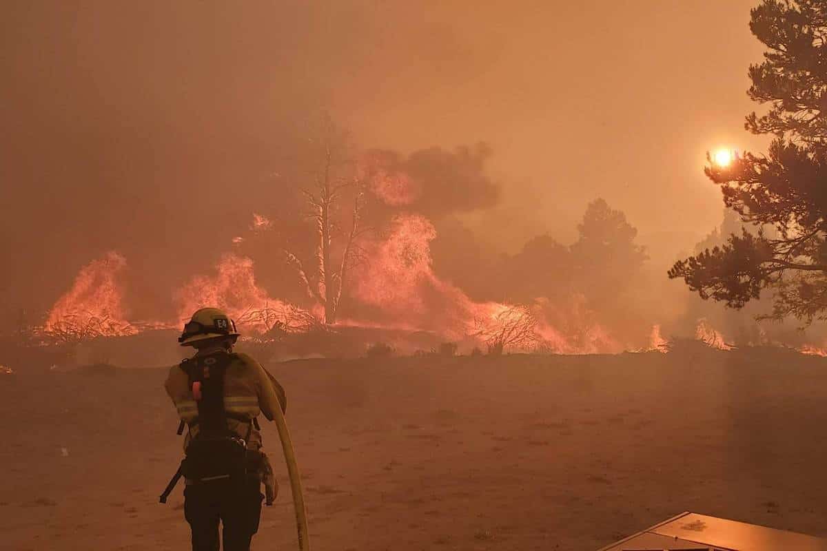 מומחים בנבדה מזהירים: ״עונת השריפות״ תתחיל מוקדם מהצפוי