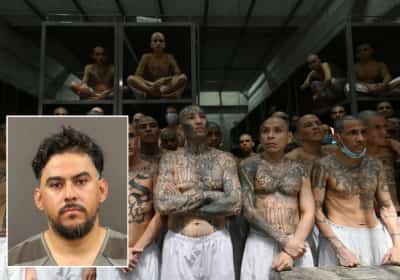 מבוקש עולמי שנמלט מהונדורס, הסתנן לארה"ב - ובכל זאת קיבל בקלות רישיון נהיגה בקליפורניה