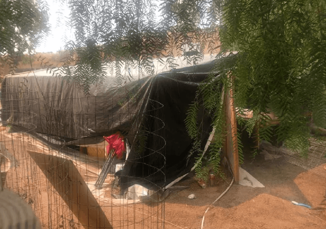 4 שנים אחרי: התפתחות בחקירת הטבח בבית גידול של מריחואנה בריברסייד
