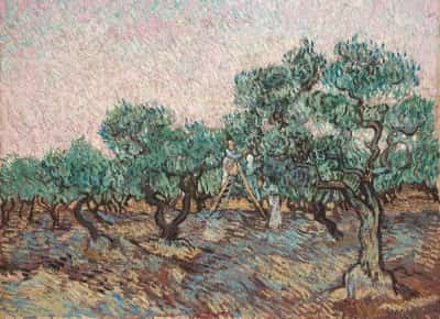 הקרב על ואן גוך: יורשים יהודים תובעים את מוזיאון המטרופוליטן על ציור שנבזז בידי הנאצים