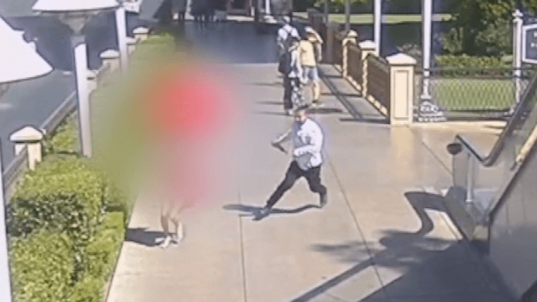 נמצא אשם בפיגוע טרור בלאס וגאס: תקף ודקר למוות שתי רקדניות מול מלון וין