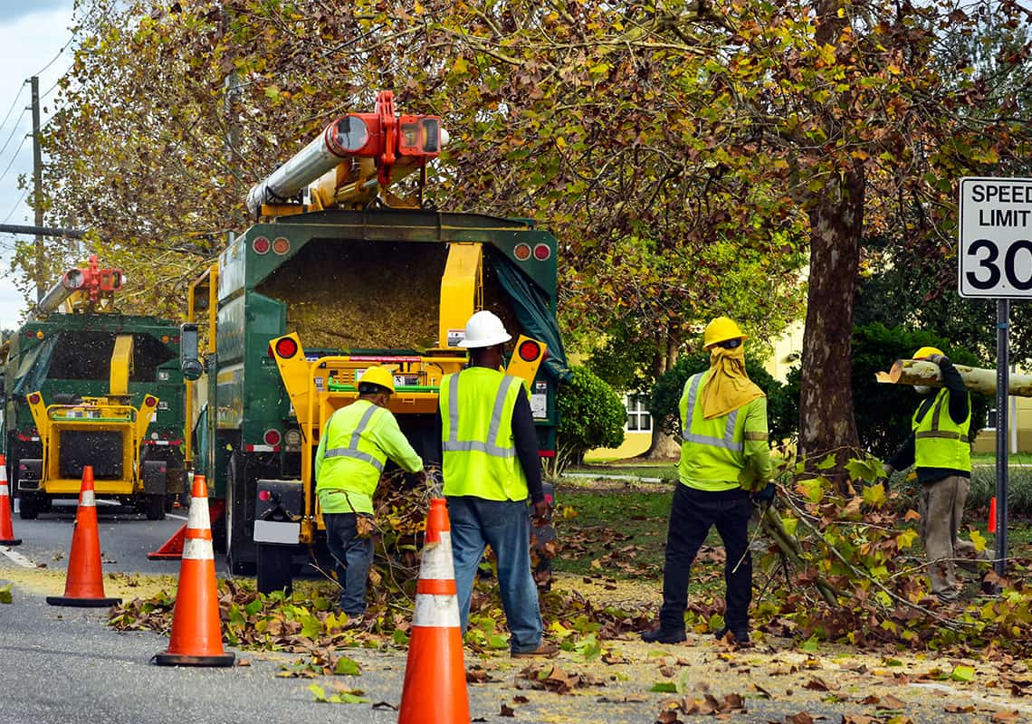 OSHA קנס חברה לגיזום עצים בעקבות תאונה קטלנית
