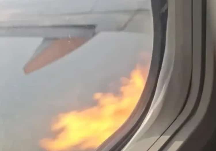 דקות אחרי ההמראה: מטוס אמריקן איירליינס פגע בציפורים ולהבות פרצו מהמנוע