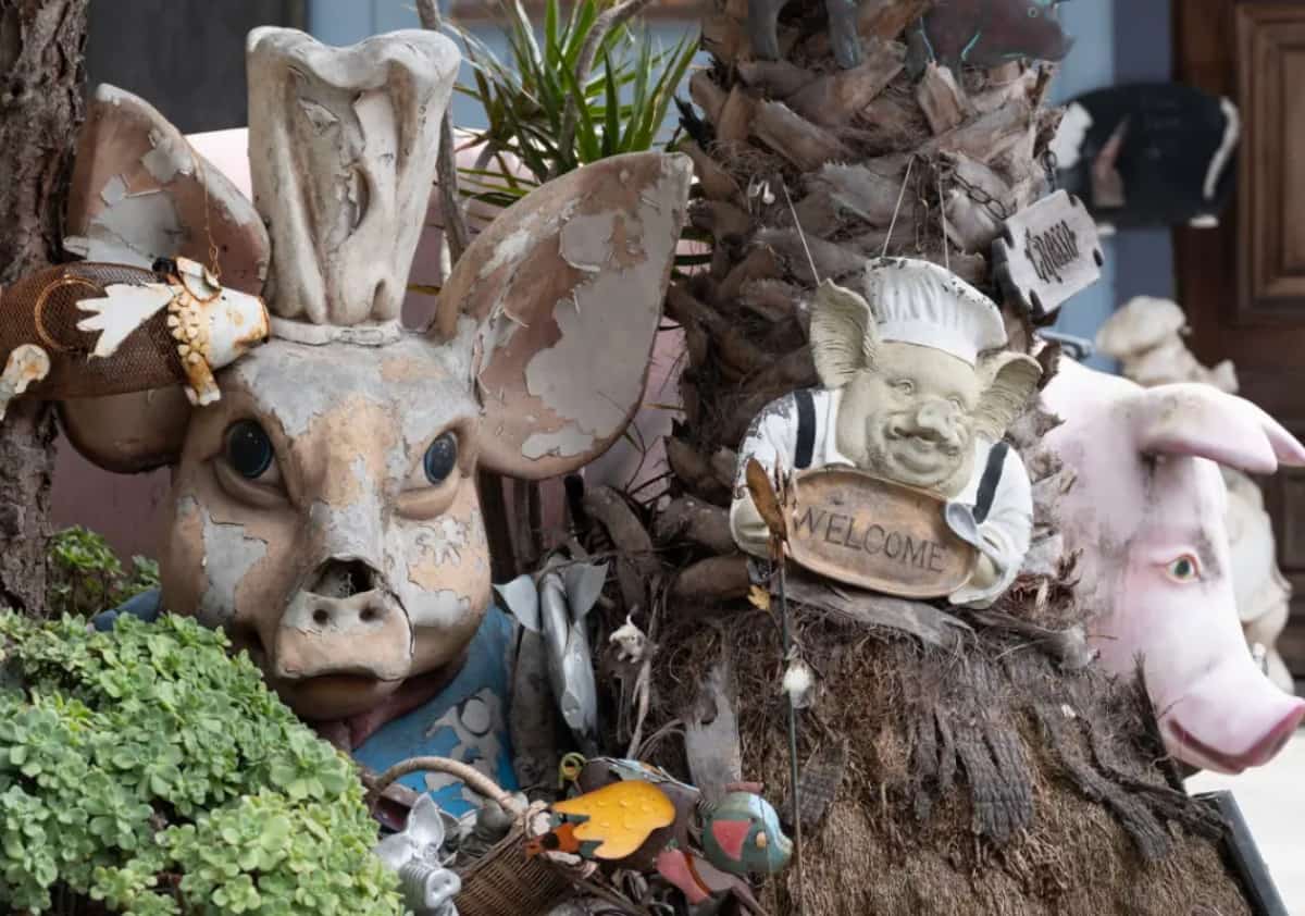 מה שהתחיל כמתנה קטנה של פסלון חזיר הפך לאובססיה של חמישה עשורים, עם אלפי דמויות ורודות שמציפות כל פינה בנכס - שמושכות תיירים אך גם מעצבנות את השכנים