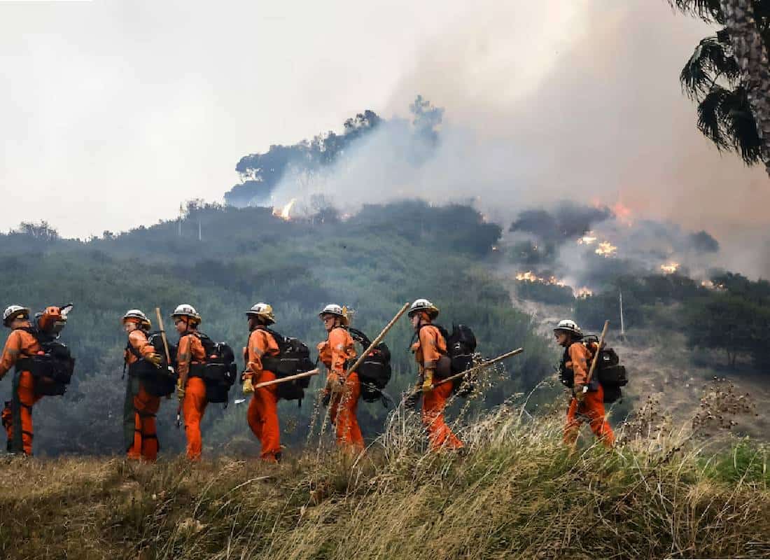 מאחורי הלהבות: מאות אסירים נשלחו להציל את לוס אנג'לס