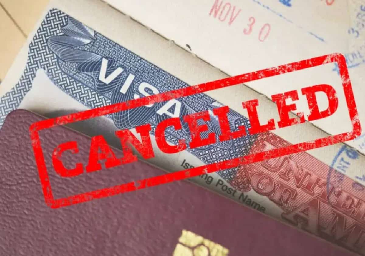 ניתוח חדש: הפגיעה הגדולה בהגירה - דווקא במסלולים החוקיים