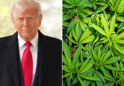 טראמפ חתם על צו נשיאותי היסטורי שמוציא את הקנאביס מרשימת הסמים המסוכנים