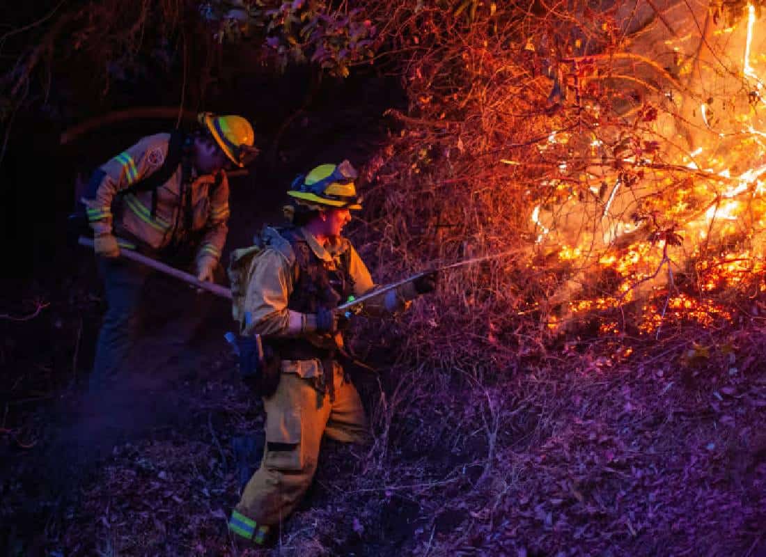 הקלה דרמטית למיליוני תושבי לוס אנג'לס: רשות המסים דוחה את מועד הגשת הדוחות בחצי שנה