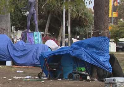 אחרי חודשים של גיהנום ברחובות לוס אנג'לס - חסרת בית הצליחה לברוח ולחזור למשפחתה בחג המולד