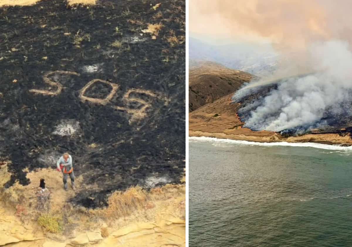 אי מול חופי דרום קליפורניה עולה באש: השריפה הגדולה בתולדותיו החלה אחרי אות מצוקה