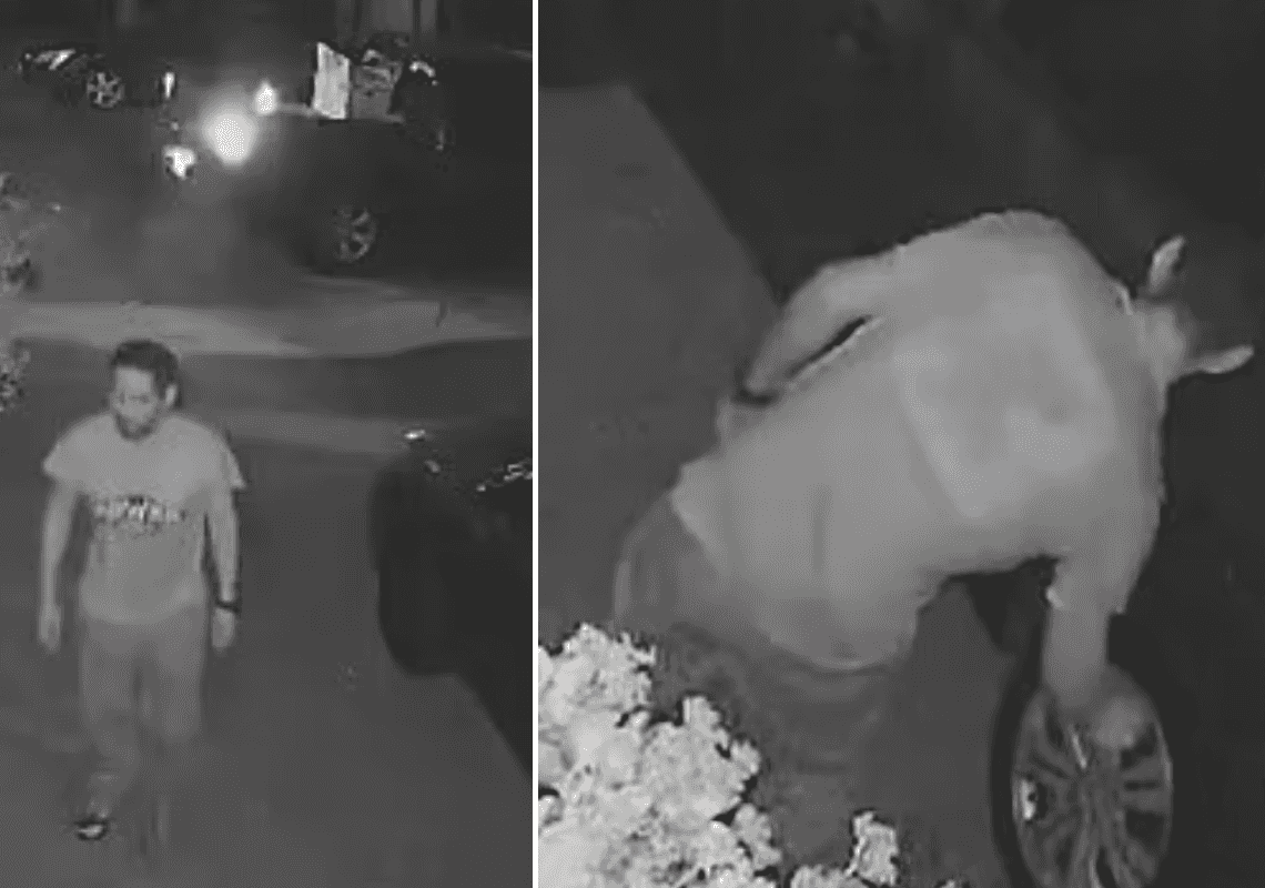  "אין לנו מושג מי הוא": גבר מסתורי מטריד שכונה שלמה בלוס אנג'לס 