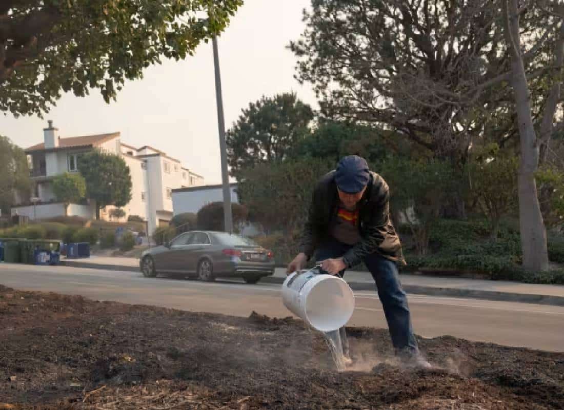 "הבית שלנו עדיין עומד": סיפור הנס בלב האפר של פאליסיידס