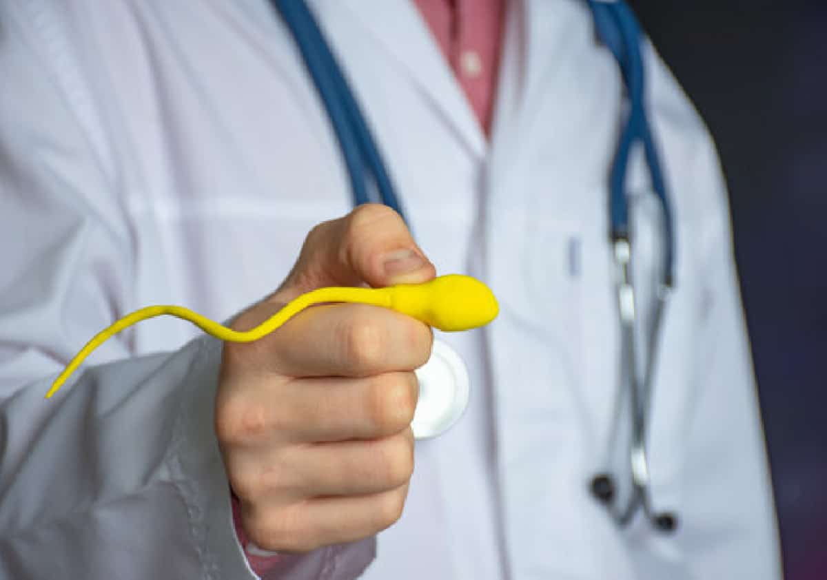 ירידה חדה בפוריות הגברית: רופאים מדברים על סימן אזהרה מדאיג