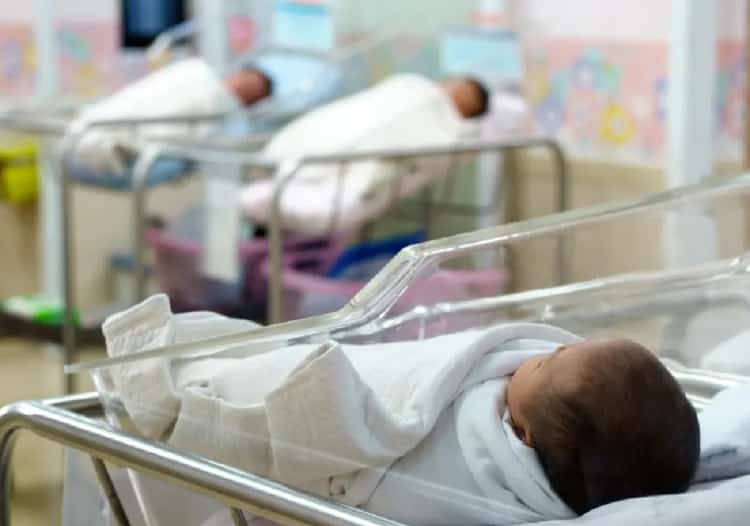 נקודת מפנה דמוגרפית בארה"ב: פחות לידות, יותר תלות בהגירה