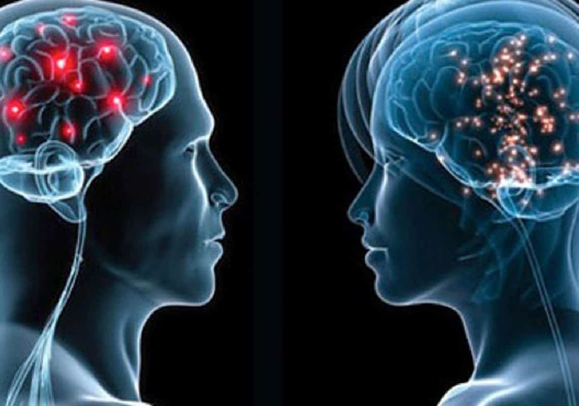 מחפשים את הדרך אל האושר? מסתבר שזה תלוי בסוג המוח שלכם