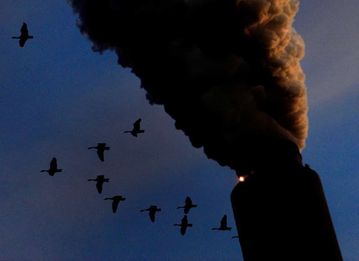 מהלך חסר תקדים בוושינגטון: טראמפ מוחק את חוקי האקלים