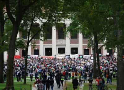 צניחה דרמטית בהרווארד: שיעור הסטודנטים היהודים בשפל היסטורי