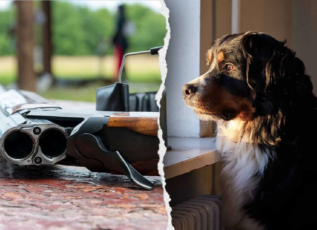 כלב ירה בבעליו בפנסילבניה: תאונת ירי מוזרה חושפת את מחיר הנשק הלא מאובטח