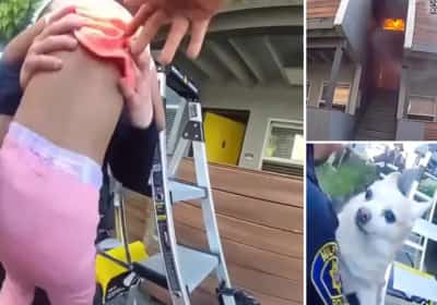 תיעוד מקליפורניה: שוטרים תפסו ילדה בת 3 וכלב שנזרקו ממרפסת בוערת