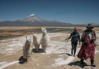 אחרי שנים של נתק: מדינה בדרום אמריקה משנה כיוון ומבטלת את דרישת הוויזה לאמריקאים וישראלים