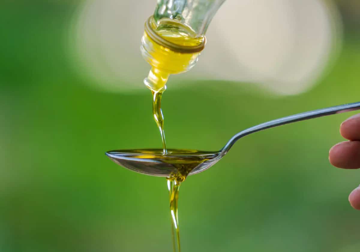 שוט שמן זית על הבוקר - הנוסחה לבריאות או סתם טרנד ברשתות?