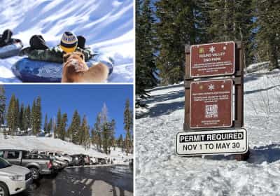 לתושבים בצפון קליפורניה נמאס: אלפי מבקרים נוהרים לאזור בכל פעם שיורד שלג ומשבשים את חיי המחוז