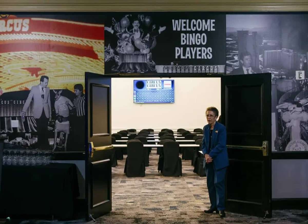 לאס וגאס מחפשת קאמבק: הבינגו חוזר לרצועה 