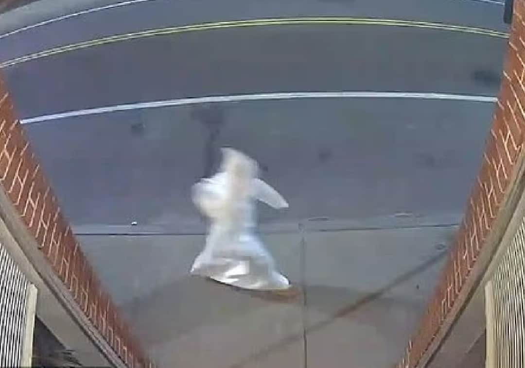 התושבים מבוהלים: אדם בגלימת קו קלוקס קלאן הסתובב ברחובות העיר בשעות הלילה