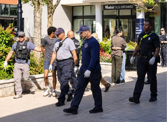 אימה בקניון: גבר ניסה להטביע אישה בבריכת דגים - עוברי אורח הצילו את חייה