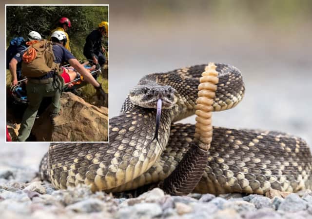 סטטיסטיקה מדאיגה בדרום קליפורניה: שורת הכשות ושני מקרי מוות בשבועות האחרונים 
