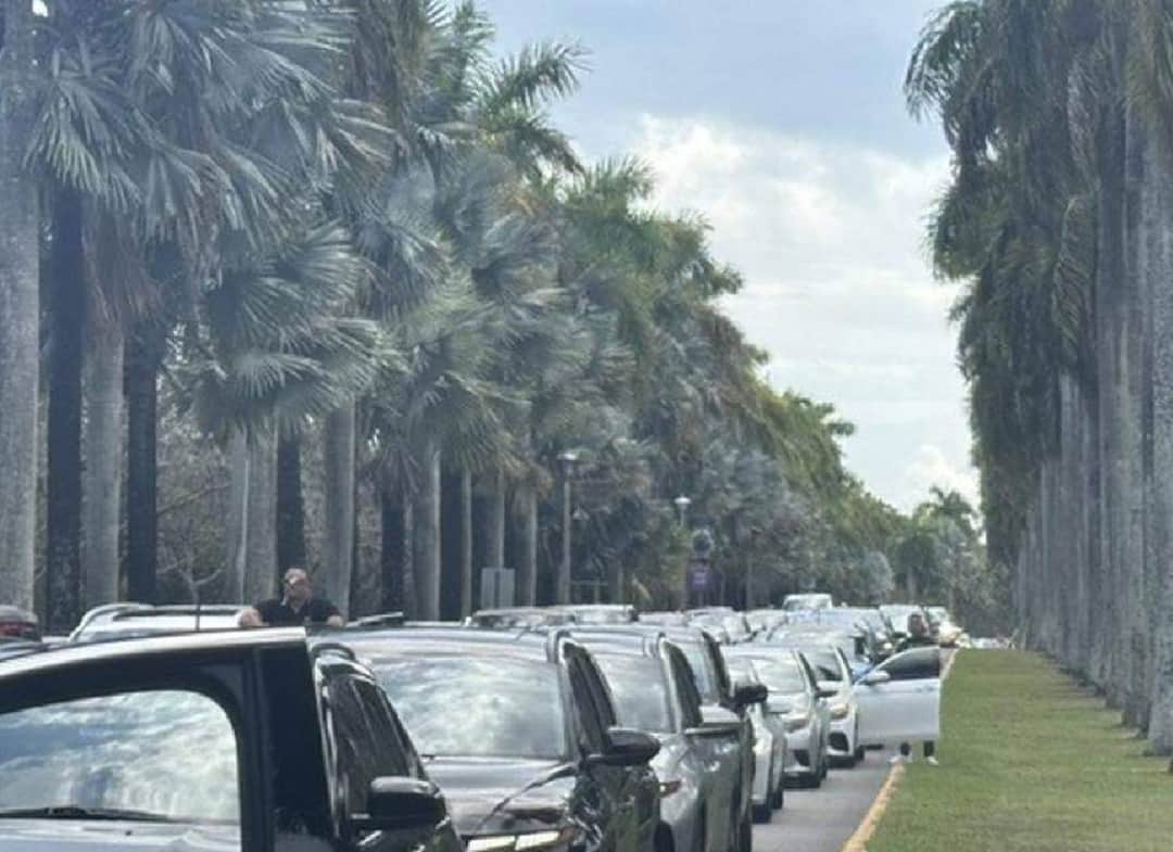 שני איומי פצצה בתוך יממה: גן החיות של מיאמי נסגר פעמיים בסוף השבוע