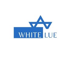 מוצרים ממותגים לתמיכה בישראל